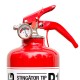 Stingator portativ cu pulbere presurizat tip P1