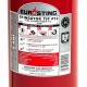 Stingator portativ cu pulbere presurizat tip P12